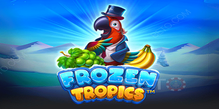 Tips Ampuh Dapat Maxwin Slot Frozen Tropics di Situs Kitab4d